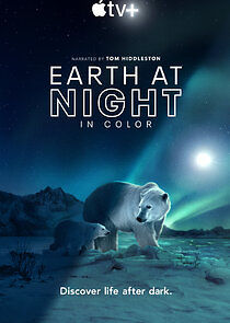 Watch Earth at Night in Color