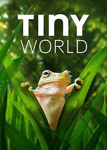 Watch Tiny World