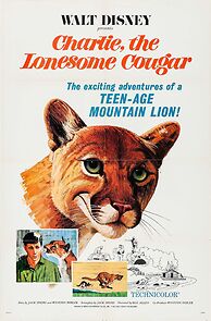 Watch Charlie, the Lonesome Cougar