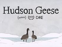 Watch Hudson Geese (Short 2020)