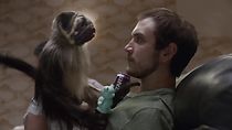 Watch Mountain Dew Kickstart Super Bowl Commercial: Puppymonkeybaby