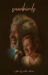 Watch Snowbirds (Short 2020)