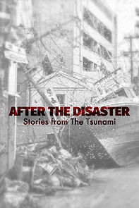 Watch After the Disaster: Stories from the Tsunami (Short 2020)