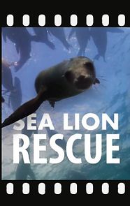 Watch Sea Lion Rescue