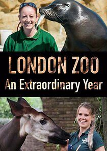 Watch London Zoo: An Extraordinary Year