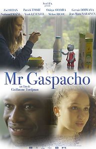 Watch Mr Gaspacho