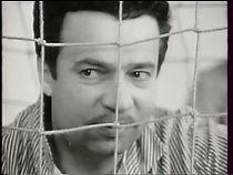 Watch Zvony pana Hejhuly (TV Short 1969)