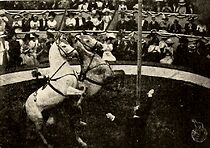 Watch The Clown's Revenge (Short 1912)