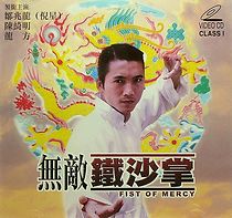 Watch Fist of Mercy
