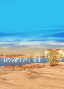 Watch Love Island: What Happened Next?