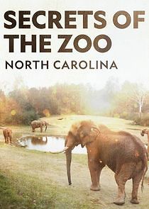 Watch Secrets of the Zoo: North Carolina