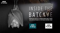 Watch Inside the Bat Cave