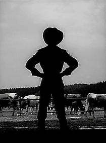 Watch Karel Gott: Zdvorilý Woody