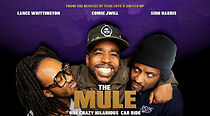Watch The Mule
