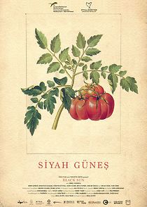 Watch Black Sun (Short 2019)