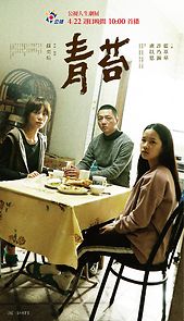 Watch Where the Sun Don't Shine