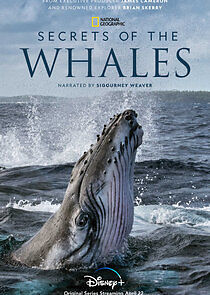 Watch Secrets of the Whales
