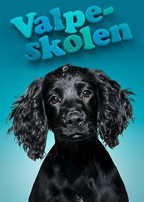 Watch Valpeskolen