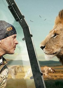 Watch Predators Up Close with Joel Lambert