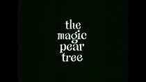 Watch The Magic Pear Tree (Short 1968)