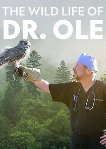 Watch The Wild Life of Dr. Ole