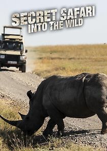 Watch Secret Safari: Into the Wild