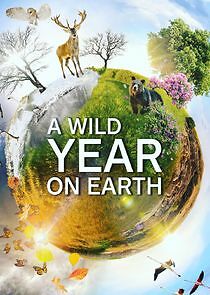 Watch A Wild Year on Earth