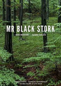 Watch Mr. Black Stork (Short 2020)