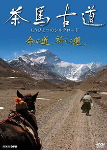 Watch Asian Corridor in Heaven