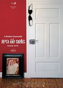 Watch A Perfect Housewife