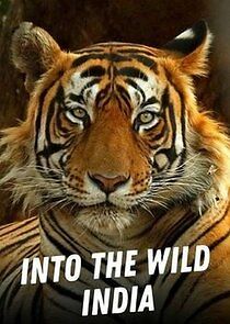 Watch Into the Wild India