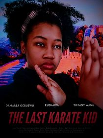 Watch The Last Karate Kid