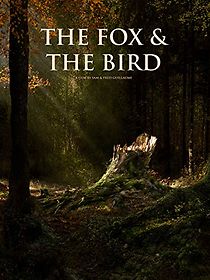 Watch The Fox and the Bird (Short 2019)