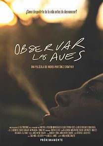 Watch Observar las aves