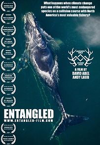 Watch Entangled: The Race to Save Right Whales from Extinction