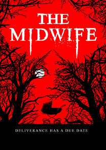 Watch The Midwife