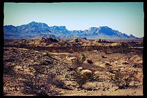 Watch Wolves Inside (Short 2019)