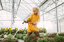 Watch Sihja - kapinaa ilmassa