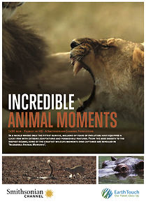 Watch Incredible Animal Moments
