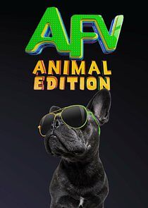 Watch America's Funniest Home Videos: Animal Edition