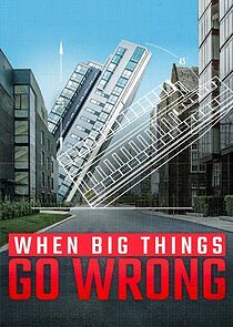 Watch When Big Things Go Wrong