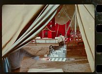 Watch Fellini - Io sono un Clown