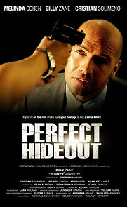 Watch Perfect Hideout