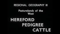 Watch Hereford Pedigree Cattle (Short 1937)