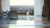 Watch Das geheime Wesen der Katzen