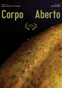 Watch Open Body (Short 2019)