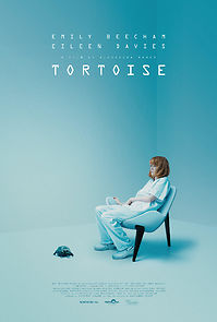Watch Tortoise