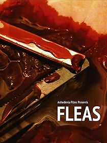Watch Fleas