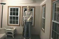 Watch I Feel Fantastic