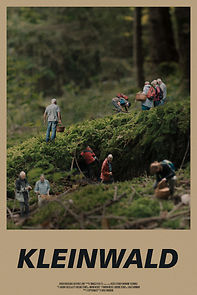 Watch Kleinwald